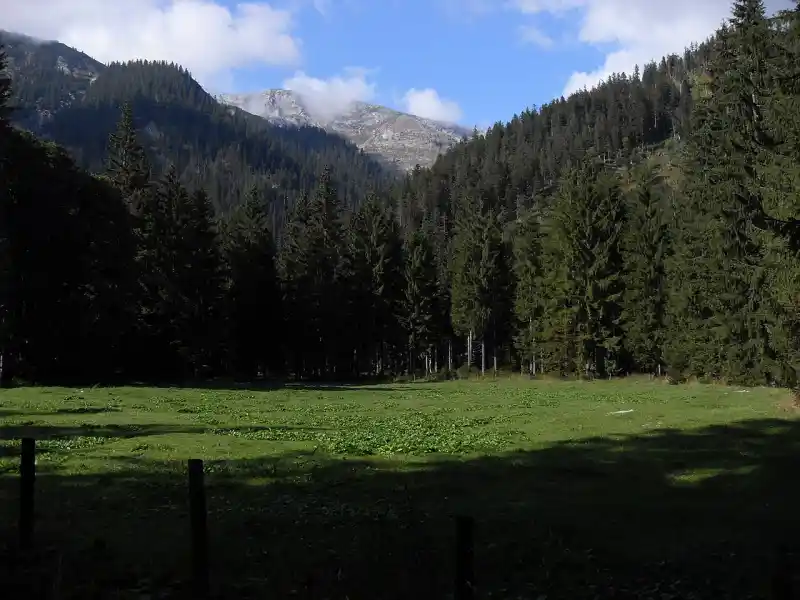 Passstrasse am Ammersattel