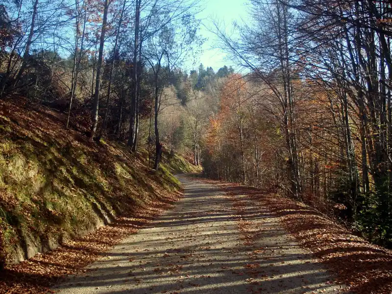 Passstrasse am Col de Belle Roche