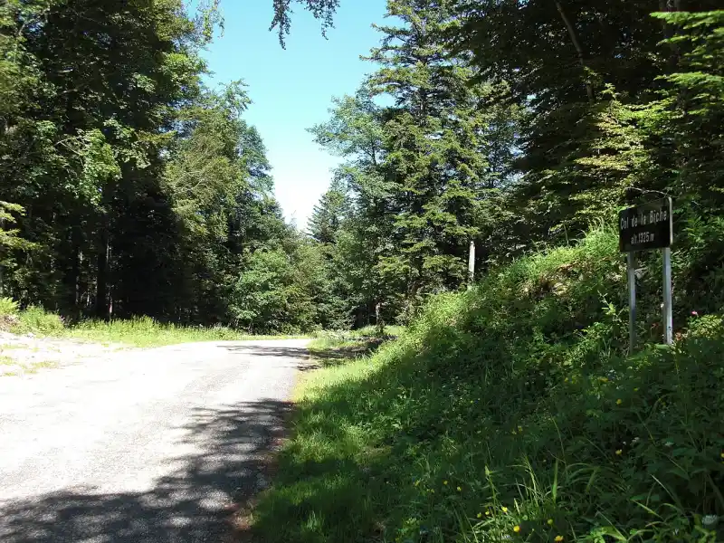 Passstrasse am Col de la Biche