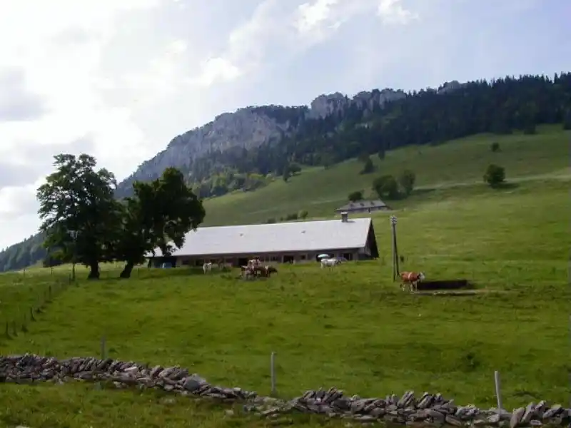 Passstrasse am Col de l’Aiguillon