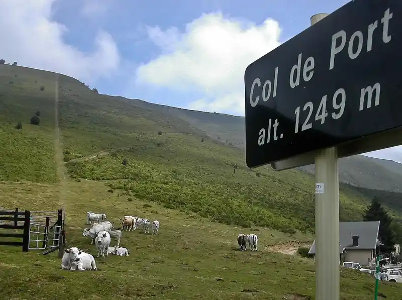 Passstrasse am Col de Port