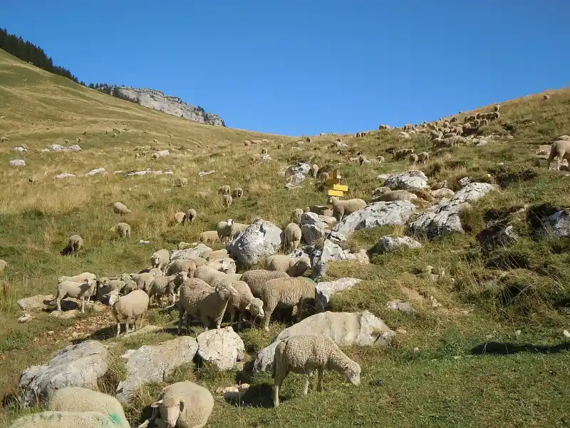 Passstrasse am Col des Ayes