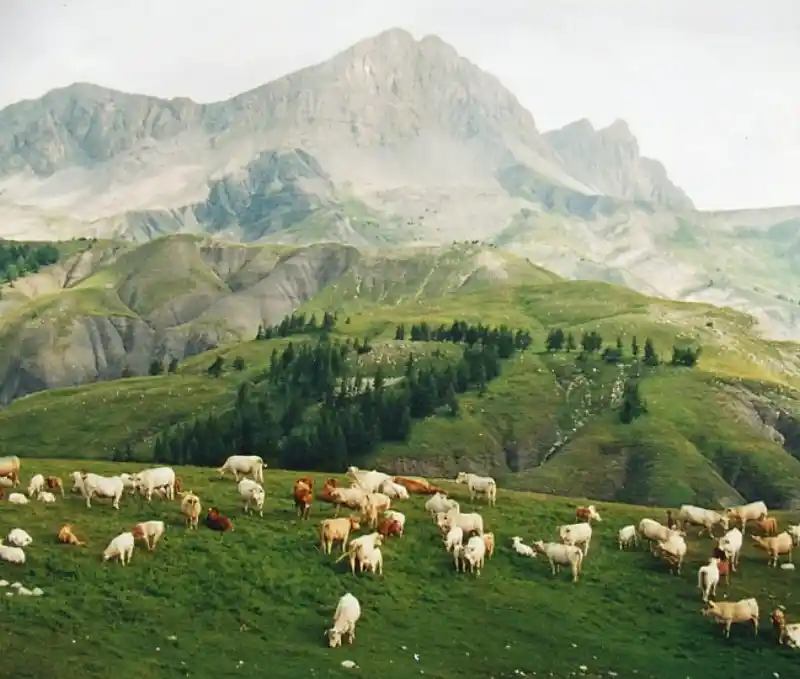 Passstrasse am Col des Champs