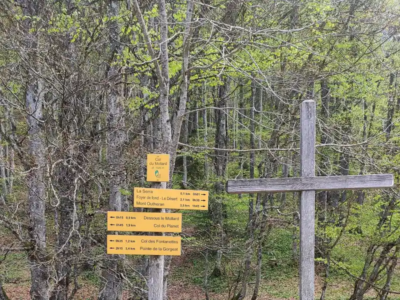 Passstrasse am Col du Mollard