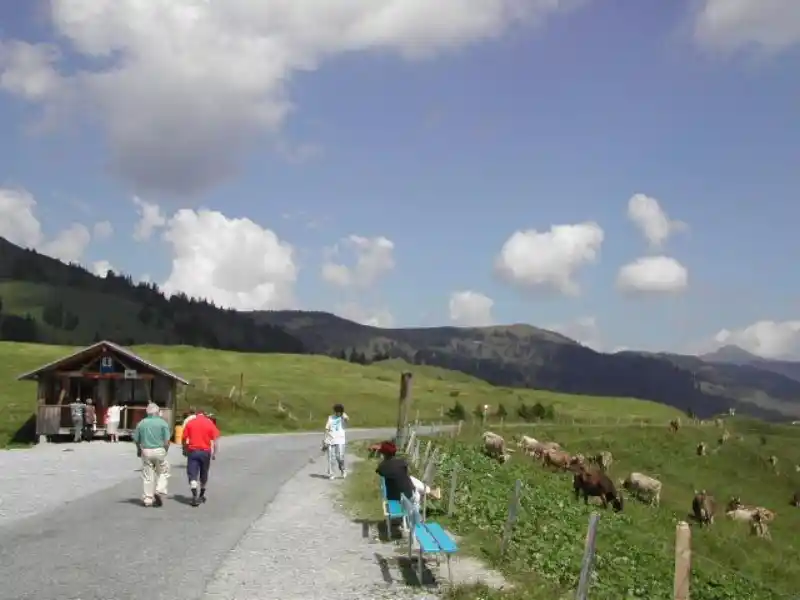 Passstrasse am Glaubenbühlpass