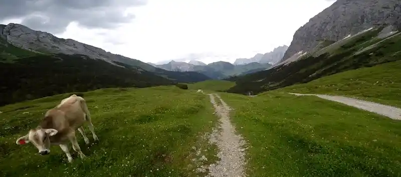 Passstrasse am Hochalmsattel