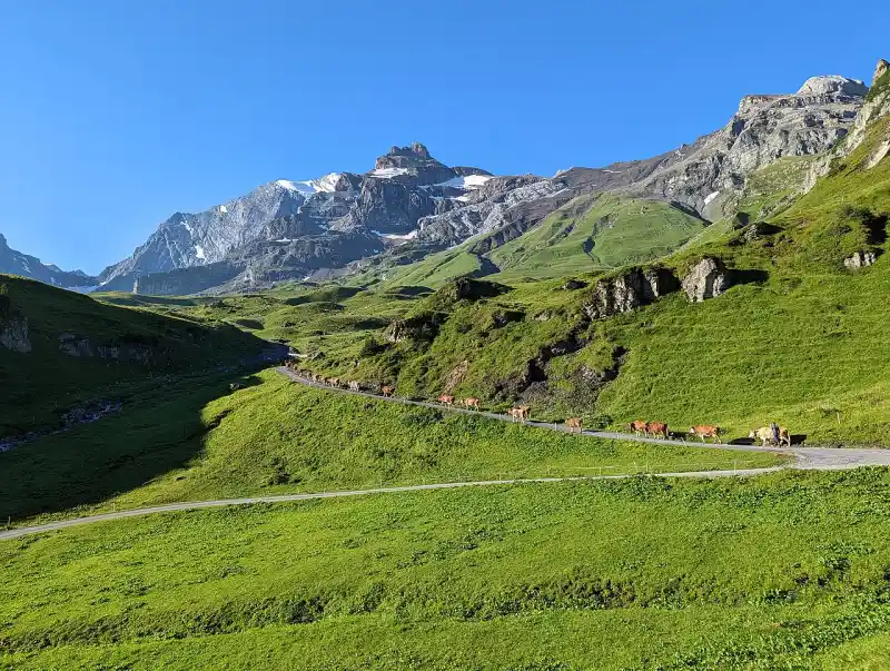 Passstrasse am Hohtürli