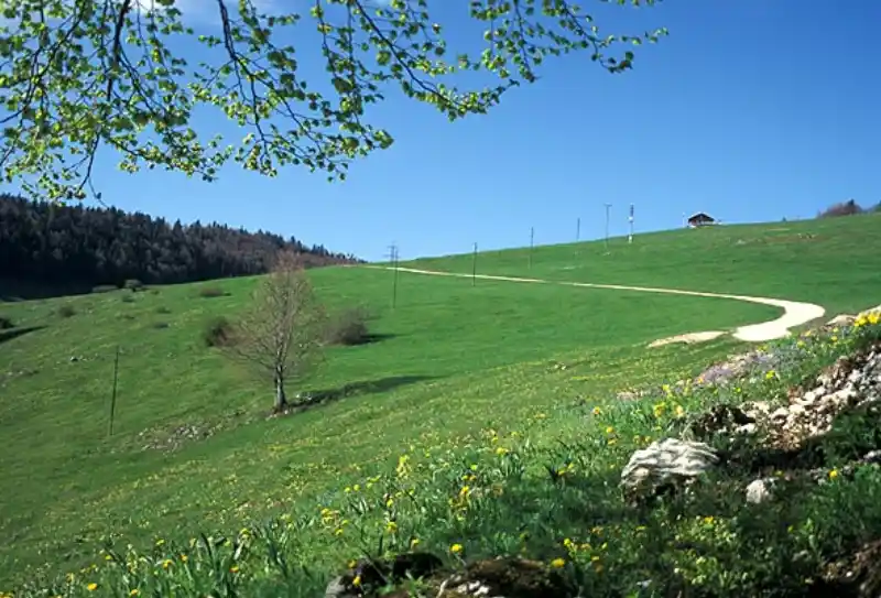 Passstrasse am Scheltenpass