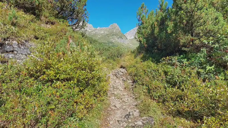 Passstrasse am Schrofenpass